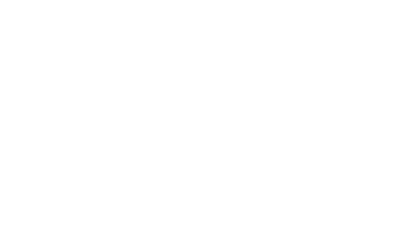Auction Masters Logo